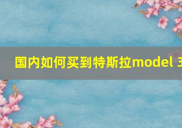 国内如何买到特斯拉model 3